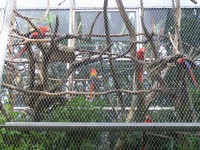 /album/fotogaleria/p8220272-jpg/